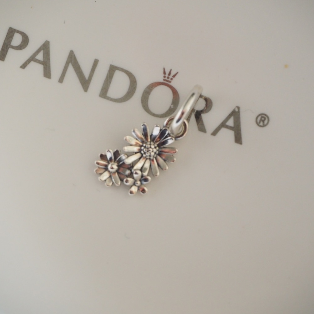 Authentic new pandora Daisy Flower Bouquet Dangle Charm
Item No. 798819C00